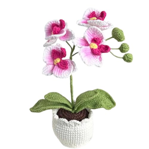 Handmade Crochet Phalaenopsis Orchid Potted Plants Knitted Artificial Orchid Phalaenopsis Flowers with Exquisite Pot for Home Office Wedding Table Centerpiece Decoration,Pink - color: Pink