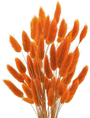Uieke 17’’ Natural Bunny Tails Dried Flowers, 240 Pcs Dried Lagurus Ovatus, Dried Pampas Grass for Flower Arrangements Wedding Centerpieces Home Boho Baby Shower Party Fall Decorations (Orange) - color: Orange-240pcs