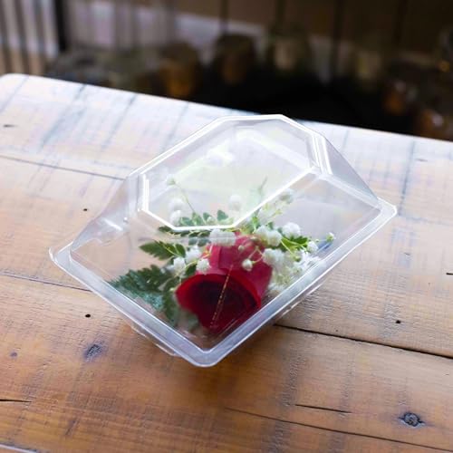 Curtis Wagner Plastics CW-654 Clear Small Corsage Flower Boxes (5-Pack) - 6" x 5" x 4" Size, Plastic Floral Containers for Corsage, Boutonniere, Roses, Small & Large Flowers, Clear Gift/Craft Box - style: Corsage-small