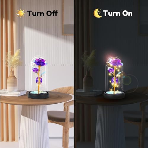 Otlonpe Mothers Day Flowers Gifts for Mom from Daughter Son, Preserved Forever Glass Light Up Rose Gifts for Grandma Wife Women Girlfriend Sister, Teacher Appreciation Graduation Gift for Her (Purple) - color: Purple
