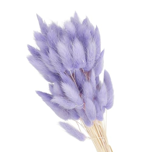 PATIKIL 15.7in Bunny Tails Dried Flowers, 80pcs Pampas Grass Decor Rabbit Tail Natural Pampas Grass Bulk Fluffy Faux Pampas Grass Dried for Home Boho Decor Vase Wedding Table, Purple - color: Purple