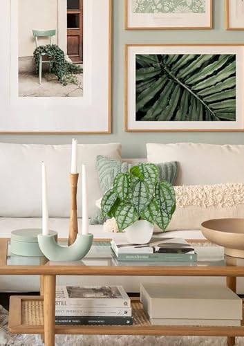 Fake Plants Small Faux Potted Plant 9.8 Inches Fake Piper Sylvaticum with Pot Artificial Plants Indoor for Home Decor Bedroom Aesthetic Bathroom Shelf Living Room Office Kitchen Table Decoration - color: 9.8'' Green