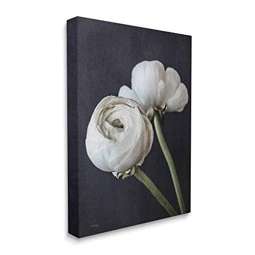 Stupell Industries Modern Ranunculus Flower Blossom Arrangement White Petals Canvas Wall Art, Design By Jennifer RigsBy - color: Gallery Wrapped Canvas, size: 16"L x 1.5"W
