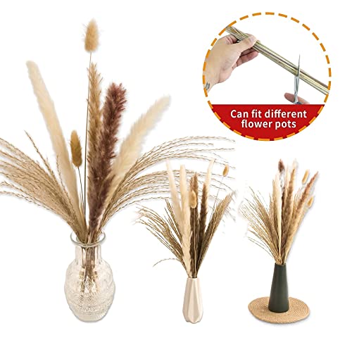 65PCS Pampas Grass Decor, Including pompas Floral, Reed Dried Grass and Bunny Tails Dried Flowers, Natural Dried Pampas Grass Bouquet for Boho Decor Wedding, Home Decoration - size: 65PCS