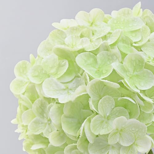 MARTINE MALL 4Pcs 21in Hydrangea Artificial Flowers, Latex Real Touch Hydrangeas Lifelike Large Hydrangea Flowers for Home Decor Party Arrangements Wedding Bouquets Centerpieces (2White&2Light Green) - color: White&light Green, size: 4Pcs
