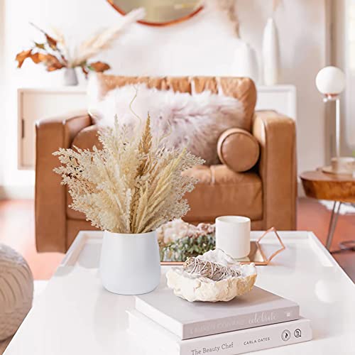 Hollyone Faux Pampas Grass with Vase, Artificial Pampas Grass Flowers Bouquet Plant Fluffy Boho Home Decor Fake Pompass Pompous Grass Floral Arrangement for Wedding Party Table Room Decorations Taupe - color: Brown
