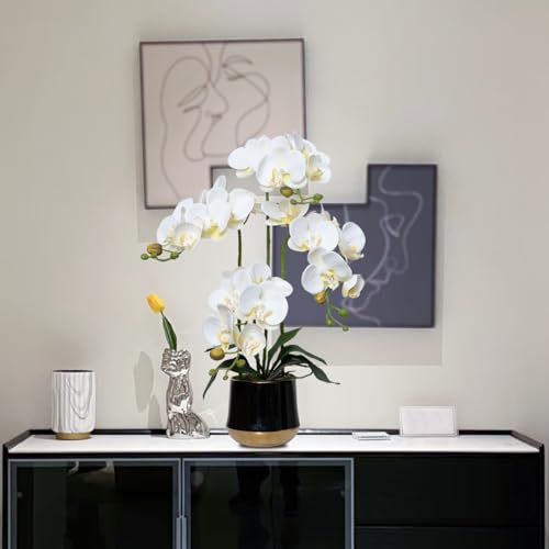 Artificial Orchid Flowers in Ceramic Vase Realistic White Faux Orchids 19.5 Inch Fake Phalaenopsis Plant Arrangements for Home Indoor Centerpiece Decor (Set of 4 Stems) - color: White, size: 14CM- BlackGolden