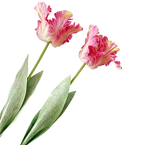 XZJMY Artificial Tulip Flowers,27.2in Fake Flowers Artificial Flowers Parrot Tulips Long Stem Faux Plants Branch Greenery Vase Filler for Home Office Decor (2PCS,Pink)