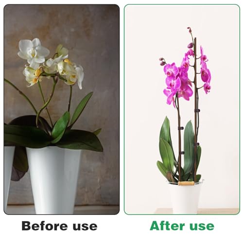10Pcs Plant Support Stakes with 15Pcs Plant Clips, 15.75inch Tall Bendable Single Stem Sticks Orchid Clips Brown Helps Growth for Indoor Outdoor Flowers Rose Amaryllis - color: 25pcs