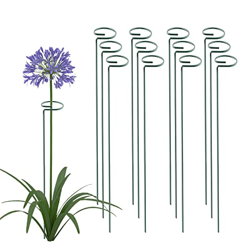 Thealyn 36 Inch 20 Packs Plant Support Stake Garden Single stemmed Plant Support Hoops Plant Prop for Flowers Orchid Tomatoes Peony Lily Rose Gladiolus (36 inch) - color: 36 inch-Green