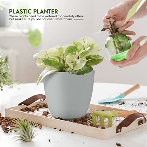 Utopia Home - Plant Pots Indoor with Drainage - 7/6.6/6/5.3/4.8 Inches Flower Pots for Indoor Planter - 5 Pack Plastic Planters - Ideal for Stocking Stuffers or Home Christmas Decorations - Gray - color: Gray, size: Pack of 5