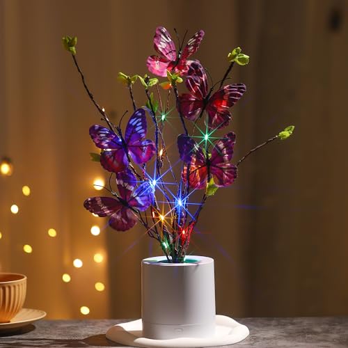 WSYEAR Birthday Gifts for Women,Butterfly Led Lamp Mothers Day Valentines Day Colorful Vintage Butterfly Decor for Women Mom Wife Grandma Girlfriend - color: BUTTERFLY