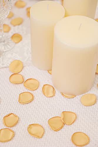 TINGE TIME 200pcs Silk Rose Petals Champagne Gold Flower Petals for Wedding, Flower Girl Basket, Aisle Runner, Romantic Dinner Centerpieces, Proposal, Party Confetti - color: Champagne