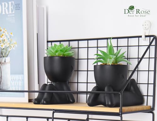Der Rose 2 Pack Fake Plants Succulent Plants Artificial for Home Bathroom Living Room Office Decor - color: Black