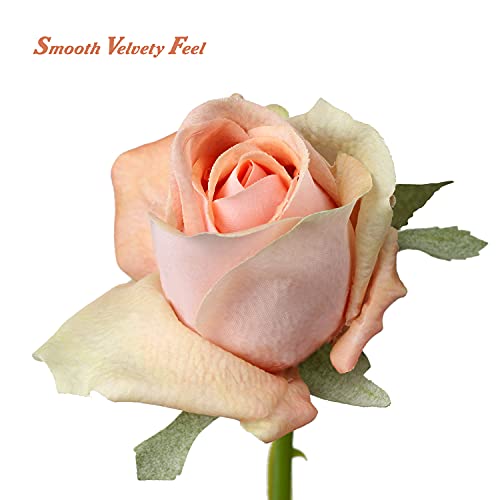 DILATATA Artificial Realistic Roses Peach Flowers 24" Real Touch Silk Roses Bouquet Long Stems Rose Fake Roses Decor for Home Party Wedding Table Centerpieces Roses Realistic - 5 Pcs - color: Peach