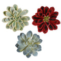 COTSEN 3 Pcs 5.9inch Artificial Succulents Plants Unpotted Assorted Fake Succulents for Office Family Garden Decor