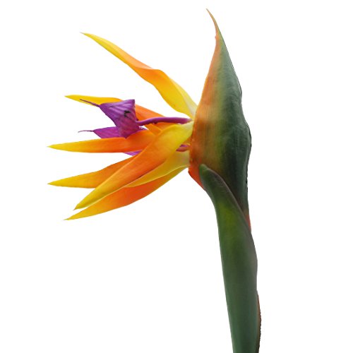 Calcifer 32'' Real Touch Bird of Paradise Artificial Flowers Bouquet for Home Garden Decoration/Wedding Party Decor Orange (Package Quantity: 5 Stems) - color: Package Quantity: 5 Stems