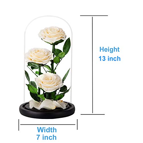 White Roses Handmade Preserved Rose in Glass Dome, Preserved Flowers Never Withered, Birthday Gifts for Women (13 inch) - color: White, size: X-Large