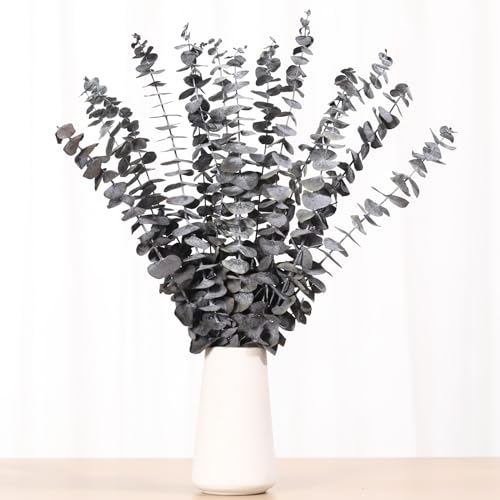 Tavkite 16 Pcs Dried Eucalyptus Stems, 17'' Natural Eucalyptus Leaves Branches Hanging for Shower, Preserved Real Black Plant Live Greenery for Home SPA Wall Bathroom Wedding Party Vase Decor - color: Z-black