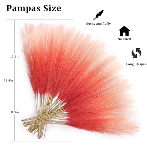 TORONTOKYO Burnt Orange Pampas Grass Fall Decor, 50Pcs 21.6 inch Artificial Faux Pompas Grass Small Fluffy Arrangement for Wedding Boho Home Autumn Decor Vase Filler - color: Orange, size: 21.6inch-50Pcs
