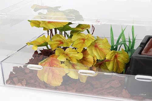 Reptile Plants for Terrarium, Ball Python Tank Decor Accessories fit Bearded Dragon Crested Leopard Gecko Lizard Chameleon Snake Frog Tortoise Hermit Crab - Fake Heuchera Micrantha Yellow - color: F-fake Heuchera Micrantha Yellow