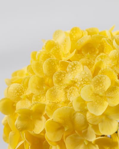 DuHouse 3Pcs Hydrangea Artificial Flowers,Latex Real Touch Hydrangeas with Long Stems & Leaves for Home Decor Party Floral Arrangements Wedding Bouquets Centerpieces(Yellow) - color: Yellow, size: 3pcs