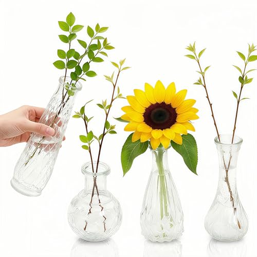 Glass Bud Vases Set of 4,Small Vase for Flowers,Clear Vintage Embossed Mini Vases,Flower Arrangements in Vases for Party or Home Decor (B)