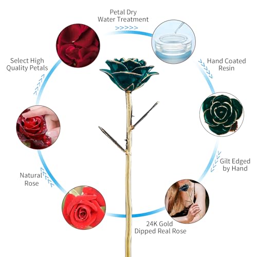 SW Gold Dipped Rose Real 24K Deep Green Rose Romantic Mom Gifts for Women Flower Love Romantic - color: Colorful