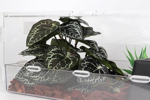 Reptile Plants for Terrarium, Ball Python Tank Decor Accessories fit Bearded Dragon Crested Leopard Gecko Lizard Chameleon Snake Frog Tortoise Hermit Crab - Fake Anthurium Crystallinum - color: C-fake Anthurium Crystallinum