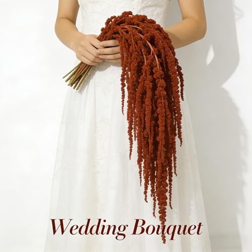 5Pcs Dried Amaranthus Hanging Flowers, 53" Neon Green Preserved Natural Wisteria for Wedding Arch, Table Centerpiece, Wall Hanging Lover Tears, Floral Arrangement (Red) - color: Red