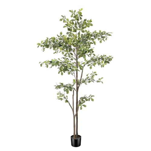 Black Olive Tree 6ft, Artificial Shady Lady Tree with Natural Trunk and Realistic Leaves, Tall Floor Plants for Living Room Decor Home Office Indoor Pack of 1 - size: 6ft