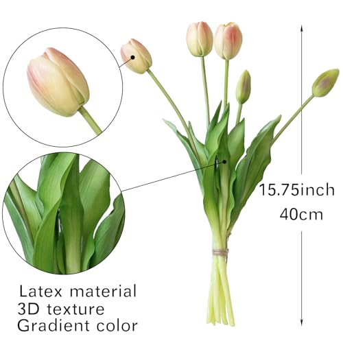 DUYONE 15Pcs Artificial Tulips Flowers, Soft Touch Realistic Latex Tulips Bouquet for Home Office Wedding Party Garden Decor, Fake Flowers for Dining Table Living Room Spring-B Pink Champagne - color: B Style-15pcs Pink Champagne(no Vase)