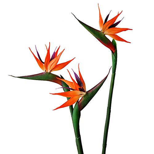 Calcifer 32'' Real Touch Bird of Paradise Artificial Flowers Bouquet for Home Garden Decoration/Wedding Party Decor (Goldenrod,5 Stems) - color: Goldenrod,5 Stems