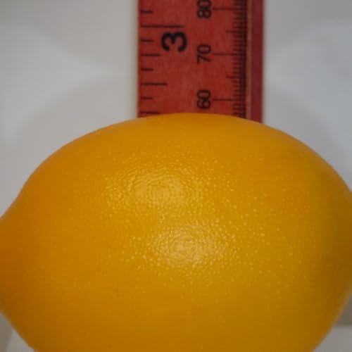 Vasefill Artificial Lemon Pack of 6 Yellow Citrus - Decorative Lemons Faux Fruit Fake - Six Pieces - color: Lemon