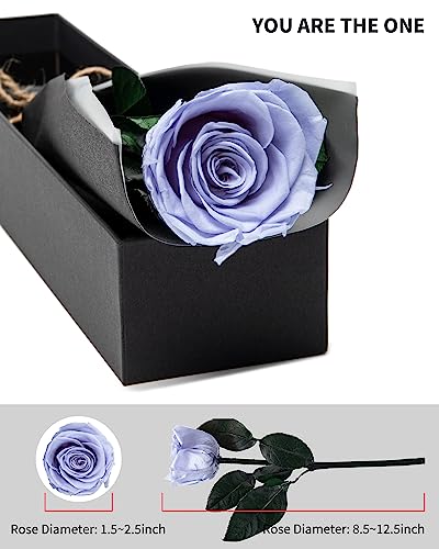 Blue Flowers for Delivery Prime, Preserved Blue Roses Flower Gifts for Women, Real Roses Single Rose Gifts for Her, Mom Birthday Gifts from Daughter, Solid Lilac Roses - color: 09-solid Lilac