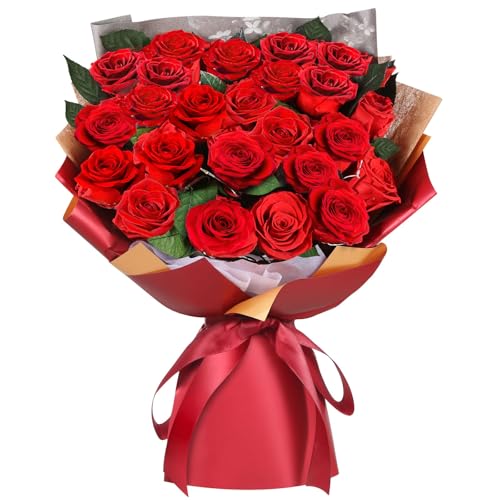 ADDWel 24 Preserved Red Roses Bouquet - Real Roses That Last 3+ Years, Romantic Anniversary & Birthday Gifts for Women, Wife, Girlfriend - Two Dozen Infinity Flowers for Delivery - color: Preserved Red Roses Bouquet - 24 Roses