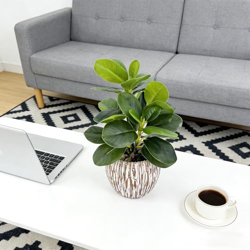 Artificial Potted Plants Life-Like Fake Plant with Farmhouse-Style Cement Planter Feturing Light Wood Tone for Room Bathroom Bedroom Kitchen Office Dese Coffee Table Décor (9inch) - size: Ficus 9inch