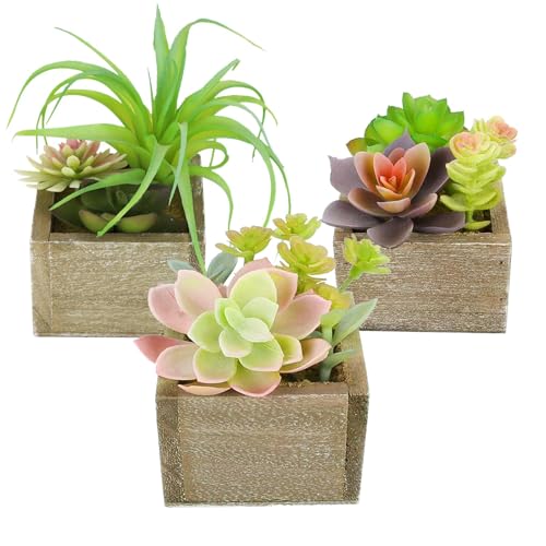 Artificial Succulents Indoor, Set of 3 Mini Potted Greenery in Rustic Wood Planters, Tabletop Accent for Office, Bathroom Shelf, Home Decor - color: Organic