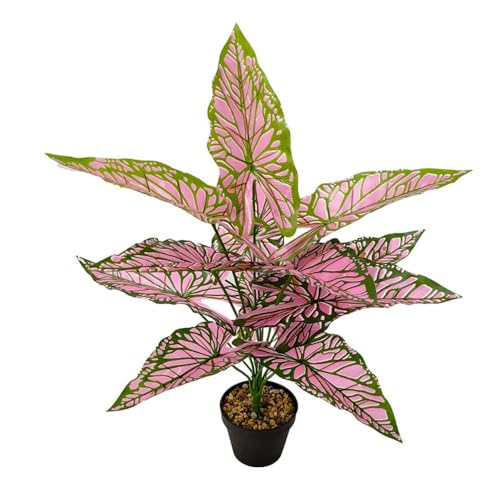 Aglaonema Plant with Variegated Green and Red Leaves, Fake Tree Leaf Simulation Flower Bonsai for Party Decoration Artificial Plants Floor Home Room Decor Ornament (Pink No Flowerpot, 60cm) - color: Pink No Flowerpot, size: 60cm