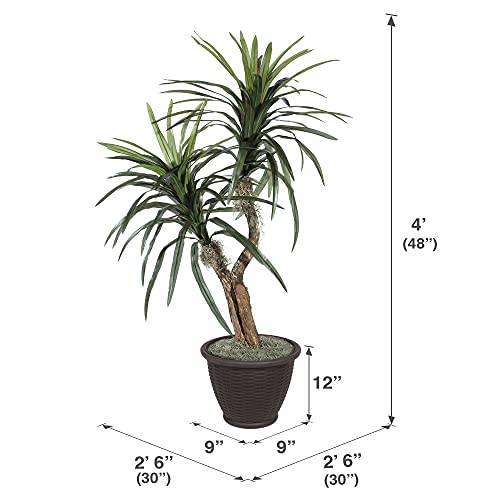 Vickerman 4' Indoor Artificial Marginata Bush, Brown Plastic Container. - color: Dark Green, style: Vickerman Everyday 4' Artificial Marginata Bush in Brown Plastic Container