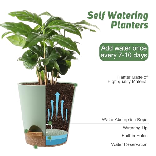 YNNICO 8-Inch Plant Pots, Self-Watering Planters with Drainage Holes & Saucers for Indoor and Outdoor Plants (2-Pack, Green) - color: Green, size: 8 inch