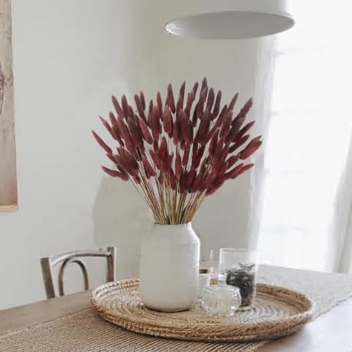 CITYES 120 Pcs Dried Bunny Tails Flower Lagurus Ovatus Natural Dried Flowers Rabbit Tail Grass Dried Pampas Grass Floral Arrangement for Boho Decor Wedding Home DIY Farmhouse Table Dark Brown - color: Brown