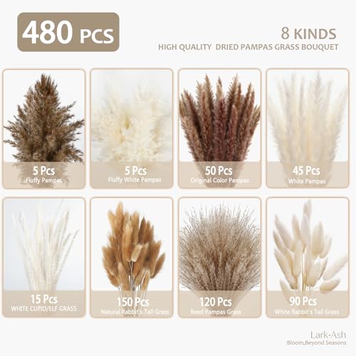 480 Stems Dried Pampas Grass Decor-Bulk Pampas Grass,Bunny Tail,Reed,Fluffy Pompas Grass.Boho Flower Bouquets for Wedding,Spring,Table Vase,Farmhouse Decor,Living Room,Beach,Apartment and Boho Decor - size: 480 Pcs