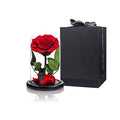 Preserved Roses Red Roses in Glass Dome, Medium, Preserved Flowers for Women - color: Red, size: Medium