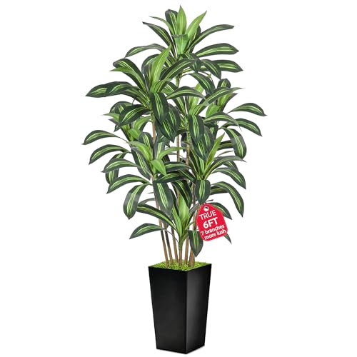 Dracaena Artificial Plant, 6FT Tall Artificial Plants Indoor Dracaena Tree in Pot, Fake Floor Plant for Living Room Decor, Artificial Tropical Plants Outdoor Porch Decor Office (Black, 6FT) - color: Black, size: 6FT