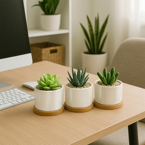 ZOUTOG Succulent Pots 3.1 Inch,6 Pack Succulent Planters,Small Pots for Plants with Drainage and Tray,White Ceramic Flower Planters for Indoor Plants,Home,Office,Desk - size: 6 Pack