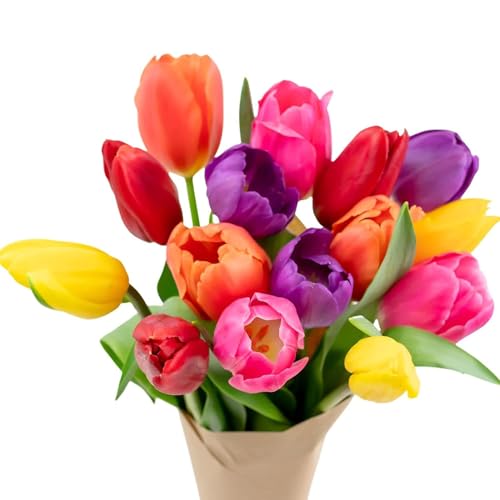 Stargazer Barn 15 Stem Rainbow Tulips Bouquet - Fresh Cut Flower Delivery, Hand-Tied in the USA, Gift for Birthday, Anniversary, Sympathy or Home Decor - Vase Not Included - color: Rainbow