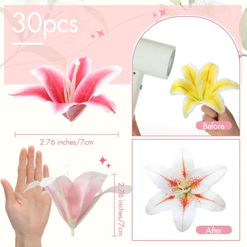 Suncalla 30 Pack Large Artificial Lilies Flower Heads with Realistic Stamens 5.9" Faux Fake Lily Flower Heads Bulk for DIY Crafts Cake Wedding Bridal Wreaths Table Home Party Decor (Multicolor) - color: Multi Color