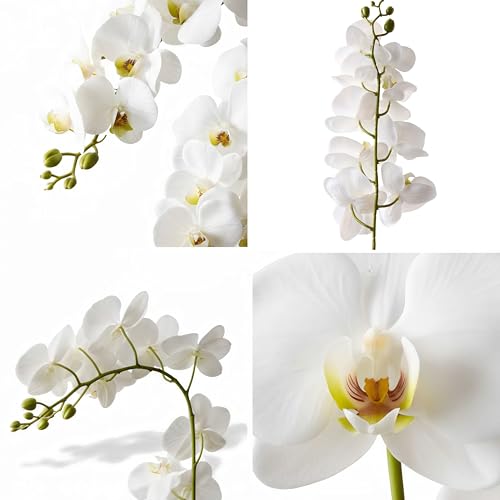 2Pcs White Orchids Artificial Flowers 38" Long Stem Fake Orchid,Real Touch Latex Faux Phalaenopsis with 9 Large Orchids for Home Décor Centerpiece Arrangements