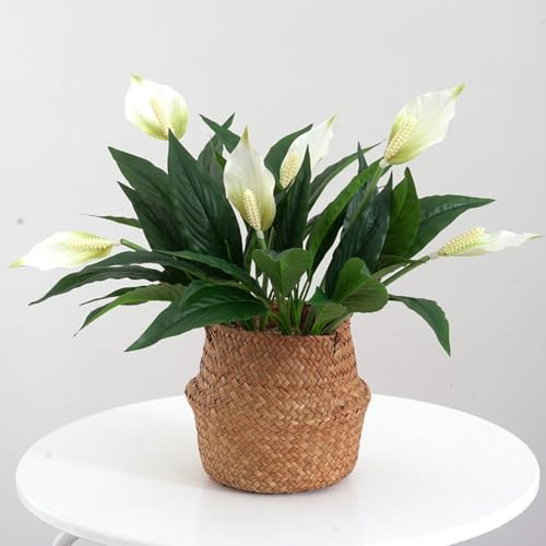 2 Packs Artificial Spathiphyllum Silk Plants 18.5" Faux Peace Lily Anthurium Flower for Wedding Home Garden Decoration (White) - color: White